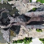 Pegasus-Dragon-6